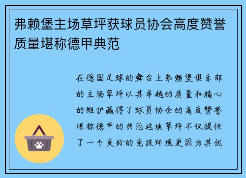 弗赖堡主场草坪获球员协会高度赞誉质量堪称德甲典范